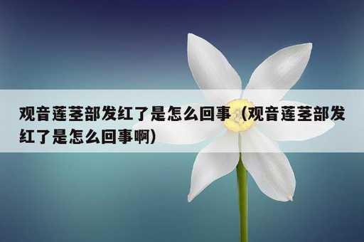 观音莲茎部发红了是怎么回事？观音莲茎部发红了是怎么回事啊_https://www.86362.com_资讯_第1张