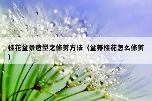 桂花盆景造型之修剪方法？盆养桂花怎么修剪_https://www.86362.com_资讯_第1张