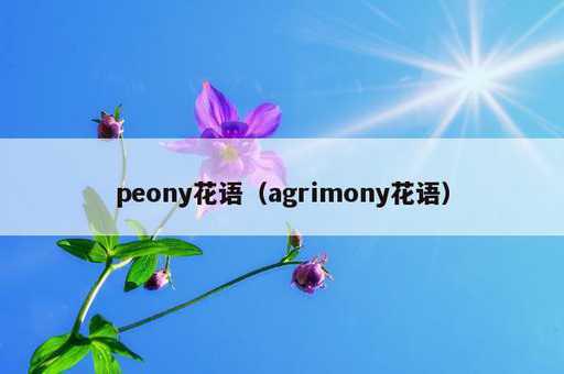 peony花语？agrimony花语