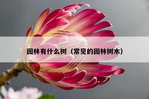 园林有什么树？常见的园林树木_https://www.86362.com_资讯_第1张