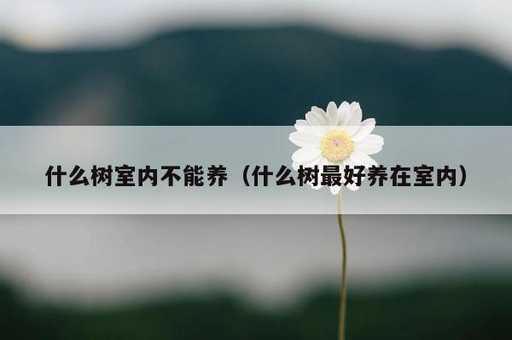 什么树室内不能养？什么树最好养在室内_https://www.86362.com_资讯_第1张