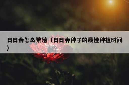 日日春怎么繁殖？日日春种子的最佳种植时间_https://www.86362.com_资讯_第1张