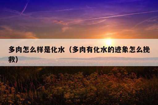 多肉怎么样是化水？多肉有化水的迹象怎么挽救