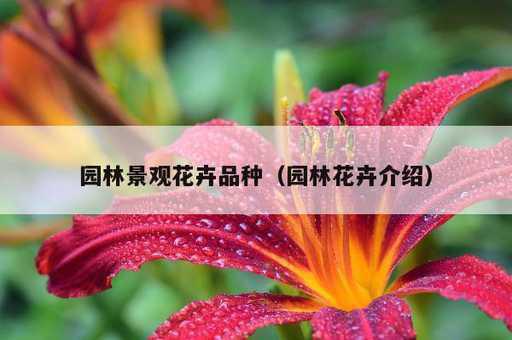 园林景观花卉品种？园林花卉介绍_https://www.86362.com_资讯_第1张