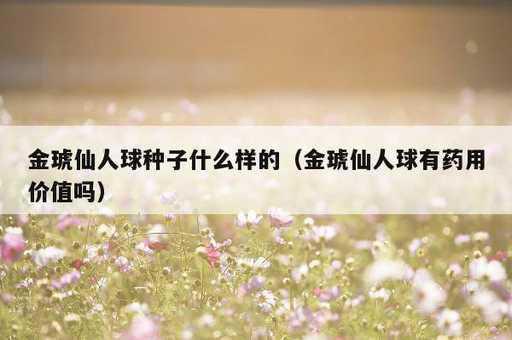 金琥仙人球种子什么样的？金琥仙人球有药用价值吗_https://www.86362.com_资讯_第1张