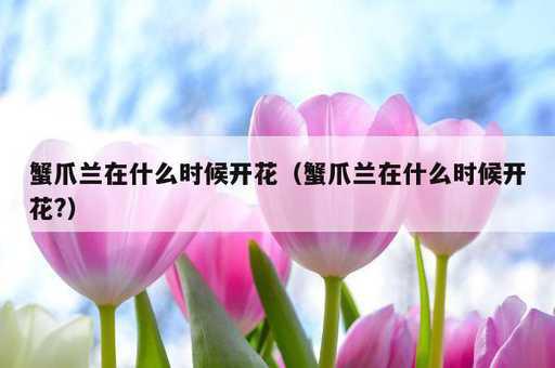 蟹爪兰在什么时候开花？蟹爪兰在什么时候开花?_https://www.86362.com_资讯_第1张