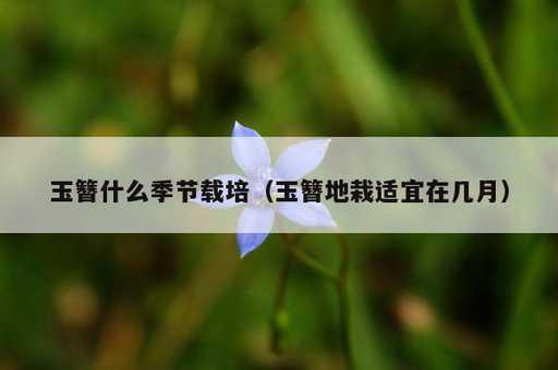 玉簪什么季节载培？玉簪地栽适宜在几月