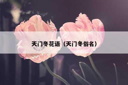 天门冬花语？天门冬俗名