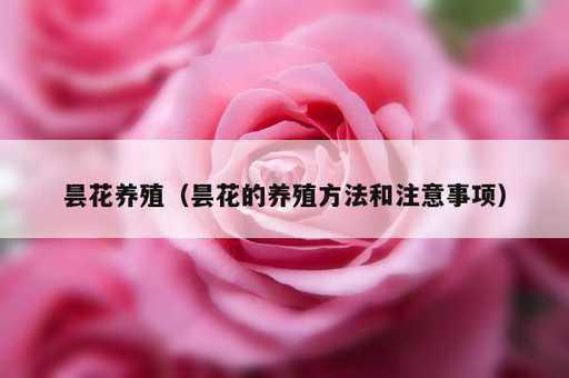 昙花养殖？昙花的养殖方法和注意事项