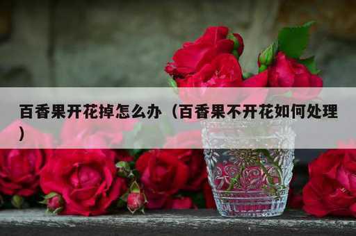 百香果开花掉怎么办？百香果不开花如何处理_https://www.86362.com_资讯_第1张