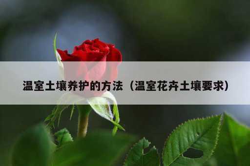 温室土壤养护的方法？温室花卉土壤要求_https://www.86362.com_资讯_第1张