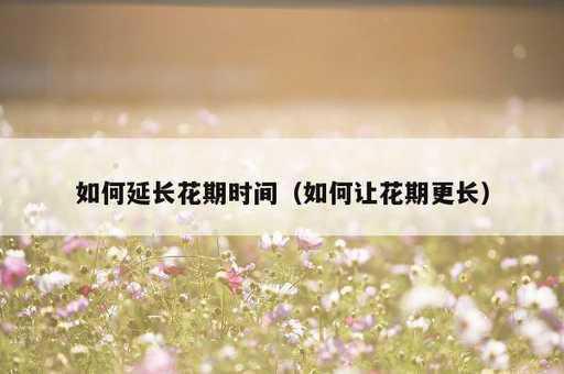 如何延长花期时间？如何让花期更长_https://www.86362.com_资讯_第1张