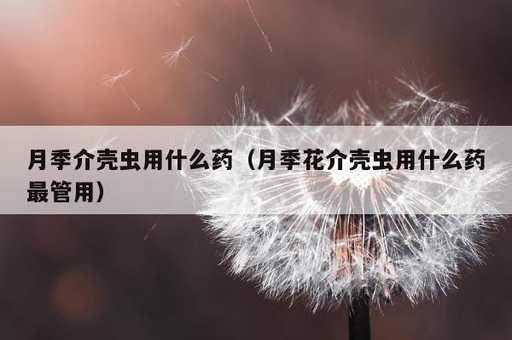 月季介壳虫用什么药？月季花介壳虫用什么药最管用