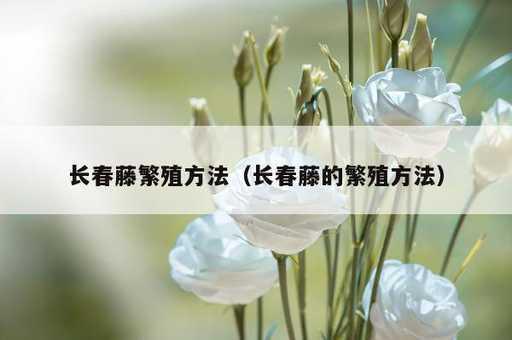 长春藤繁殖方法？长春藤的繁殖方法_https://www.86362.com_资讯_第1张