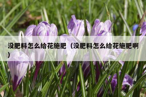 没肥料怎么给花施肥？没肥料怎么给花施肥啊_https://www.86362.com_资讯_第1张