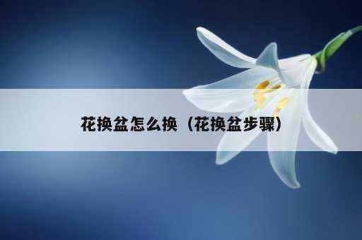 花换盆怎么换？花换盆步骤_https://www.86362.com_资讯_第1张