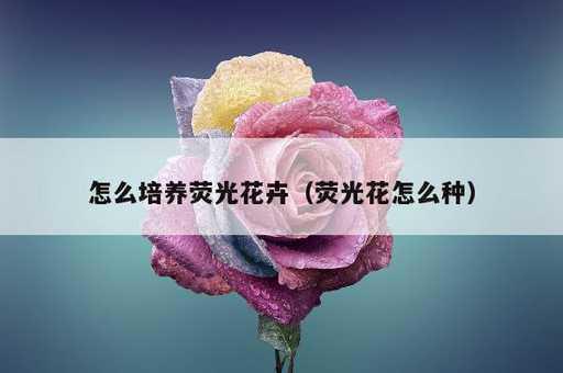 怎么培养荧光花卉？荧光花怎么种