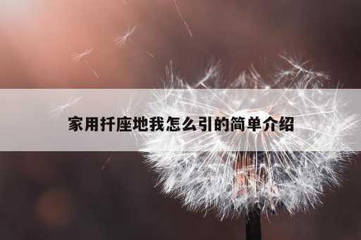 家用扦座地我怎么引的简单介绍