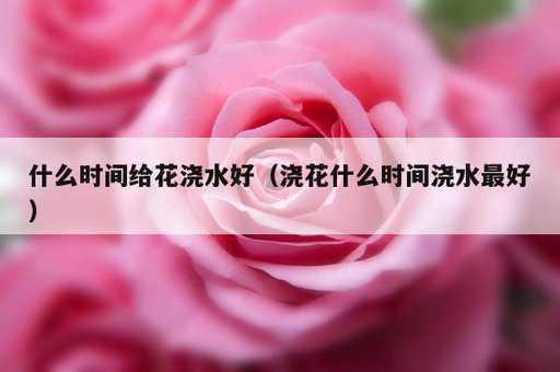 什么时间给花浇水好？浇花什么时间浇水最好_https://www.86362.com_资讯_第1张