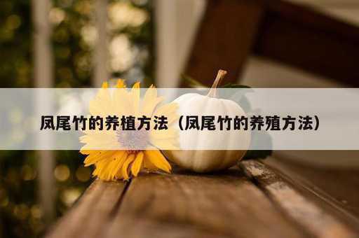 凤尾竹的养植方法？凤尾竹的养殖方法_https://www.86362.com_资讯_第1张