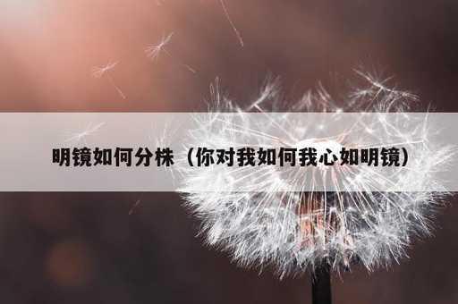 明镜如何分株？你对我如何我心如明镜_https://www.86362.com_资讯_第1张