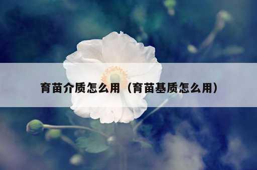 育苗介质怎么用？育苗基质怎么用_https://www.86362.com_资讯_第1张