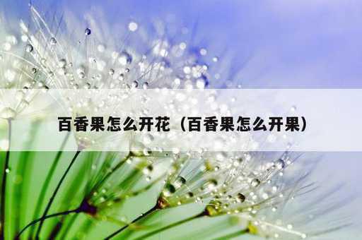 百香果怎么开花？百香果怎么开果_https://www.86362.com_资讯_第1张