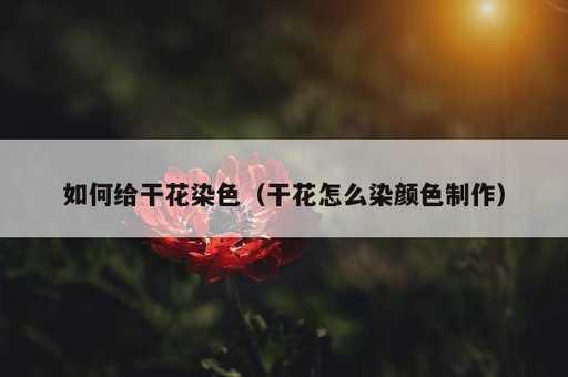 如何给干花染色？干花怎么染颜色制作