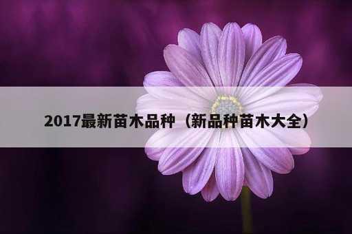 2017最新苗木品种？新品种苗木大全_https://www.86362.com_资讯_第1张