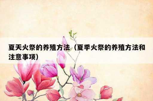 夏天火祭的养殖方法？夏季火祭的养殖方法和注意事项_https://www.86362.com_资讯_第1张