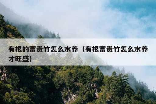 有根的富贵竹怎么水养？有根富贵竹怎么水养才旺盛_https://www.86362.com_资讯_第1张