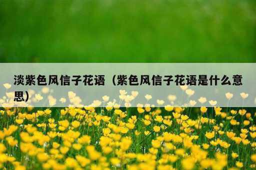 淡紫色风信子花语？紫色风信子花语是什么意思_https://www.86362.com_资讯_第1张