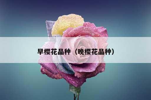 早樱花品种？晚樱花品种_https://www.86362.com_资讯_第1张