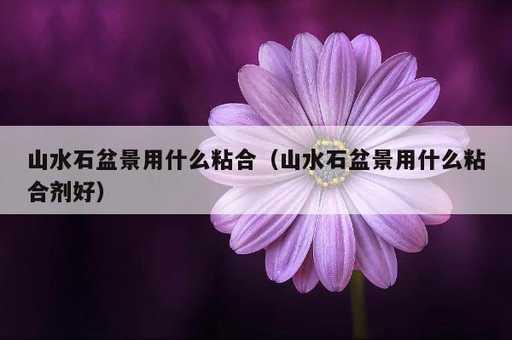 山水石盆景用什么粘合？山水石盆景用什么粘合剂好_https://www.86362.com_资讯_第1张