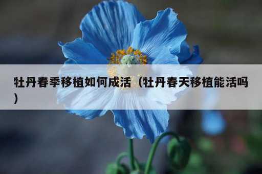 牡丹春季移植如何成活？牡丹春天移植能活吗_https://www.86362.com_资讯_第1张