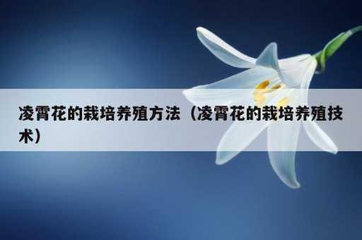 凌霄花的栽培养殖方法？凌霄花的栽培养殖技术