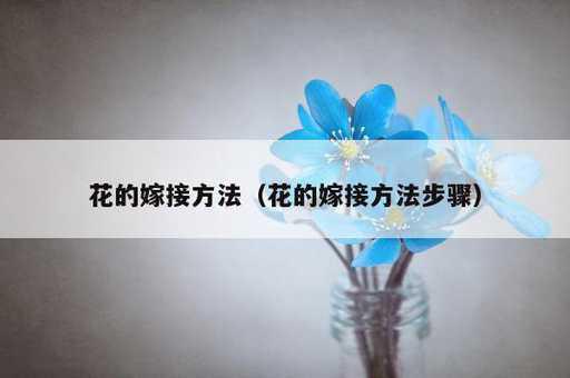 花的嫁接方法？花的嫁接方法步骤_https://www.86362.com_资讯_第1张