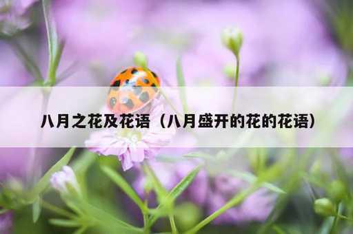 八月之花及花语？八月盛开的花的花语_https://www.86362.com_资讯_第1张