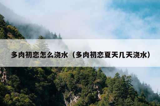 多肉初恋怎么浇水？多肉初恋夏天几天浇水_https://www.86362.com_资讯_第1张