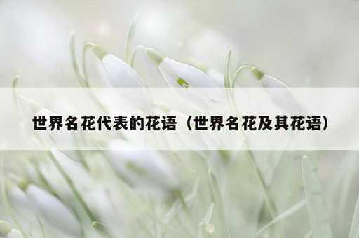 世界名花代表的花语？世界名花及其花语_https://www.86362.com_资讯_第1张