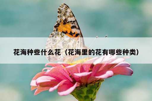 花海种些什么花？花海里的花有哪些种类_https://www.86362.com_资讯_第1张