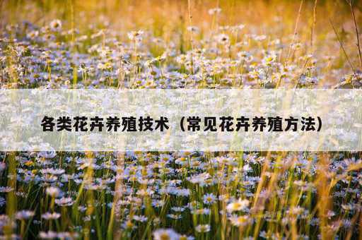 各类花卉养殖技术？常见花卉养殖方法_https://www.86362.com_资讯_第1张