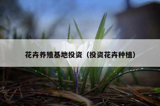 花卉养殖基地投资？投资花卉种植_https://www.86362.com_资讯_第1张