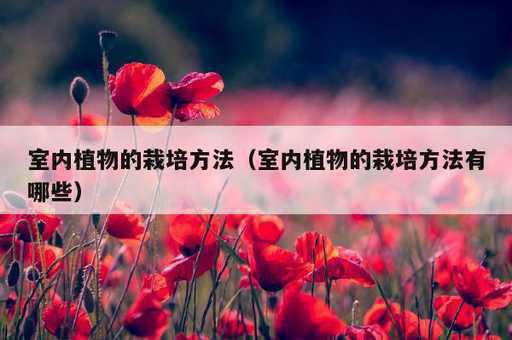 室内植物的栽培方法？室内植物的栽培方法有哪些_https://www.86362.com_资讯_第1张