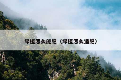 绿植怎么施肥？绿植怎么追肥