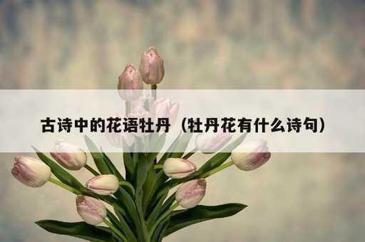 古诗中的花语牡丹？牡丹花有什么诗句_https://www.86362.com_资讯_第1张