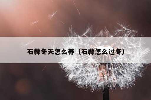 石蒜冬天怎么养？石蒜怎么过冬