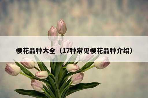 樱花品种大全？17种常见樱花品种介绍_https://www.86362.com_资讯_第1张