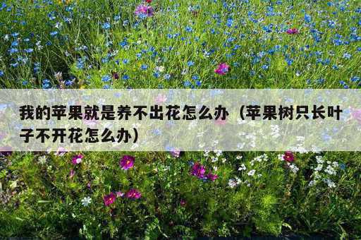 我的苹果就是养不出花怎么办？苹果树只长叶子不开花怎么办_https://www.86362.com_资讯_第1张