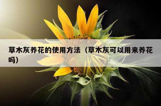 草木灰养花的使用方法？草木灰可以用来养花吗_https://www.86362.com_资讯_第1张